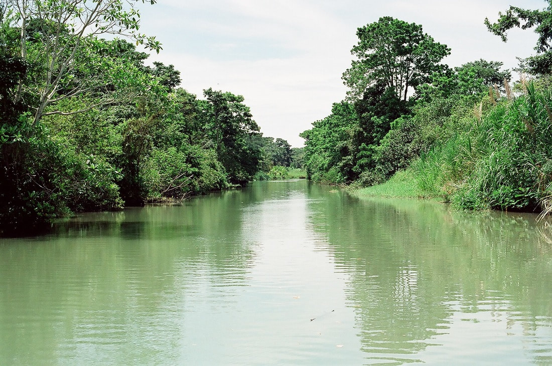Beautiful river and rainforest in Turtoguero National Park, Costa Rica